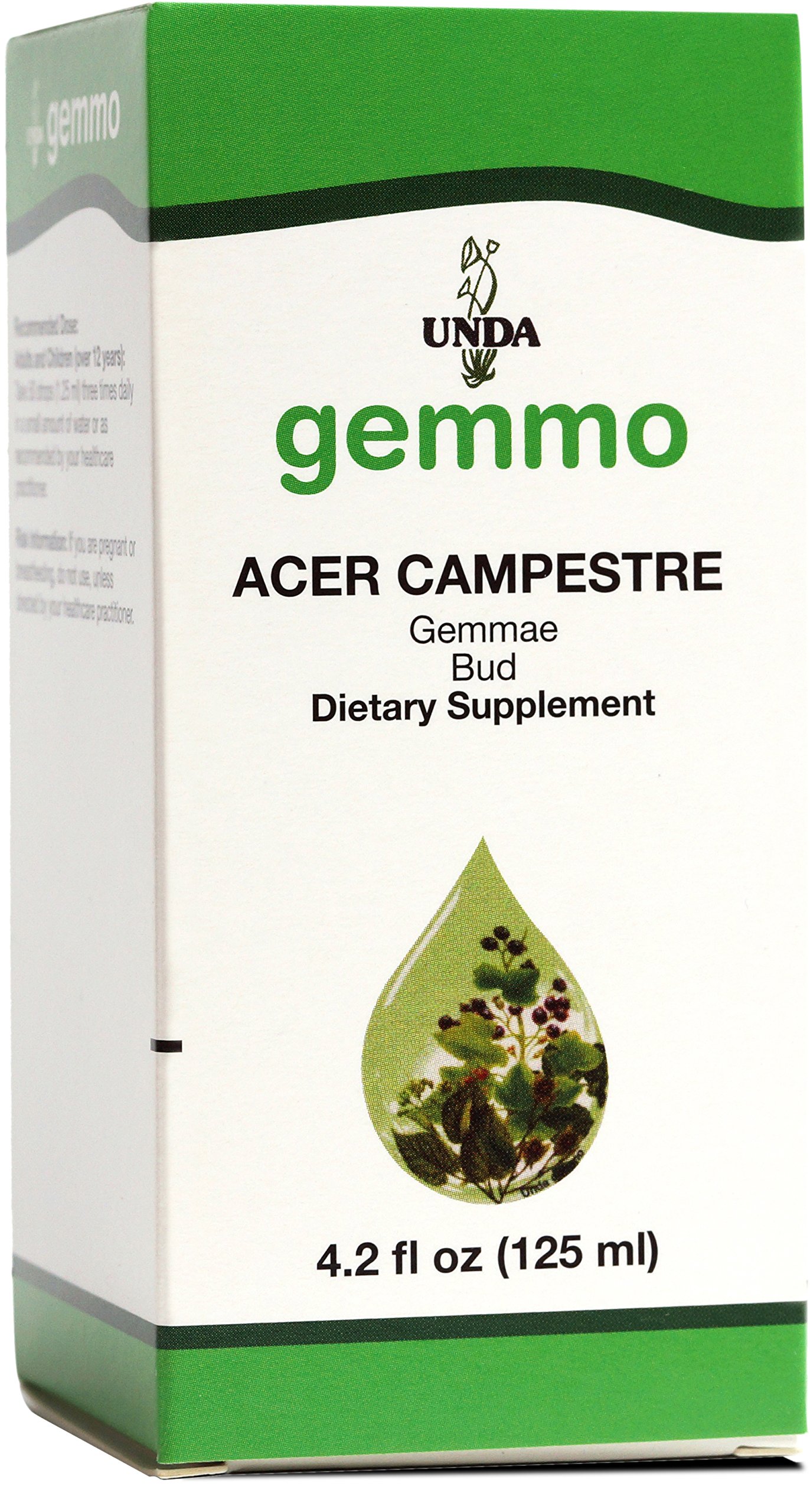 Acer_campestre_125ml