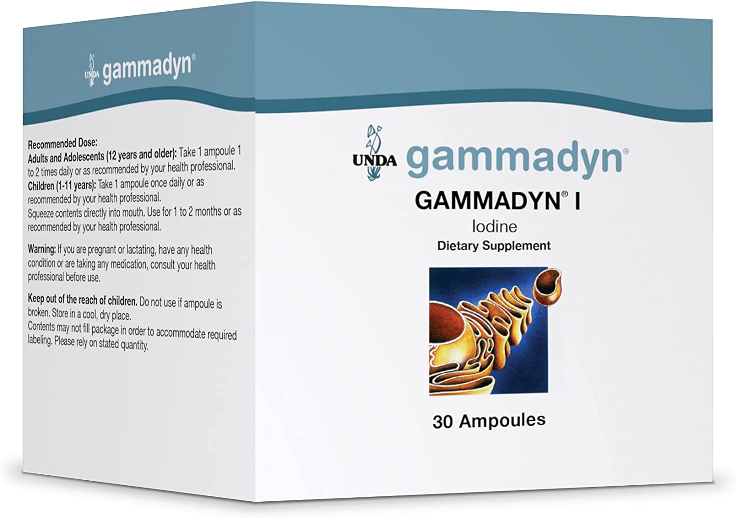 GammadynI