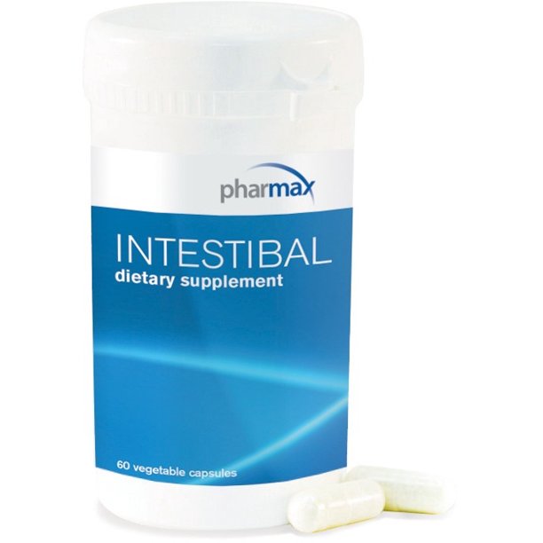 INTESTIBAL