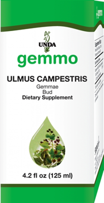 Ulmuscampestris125ml