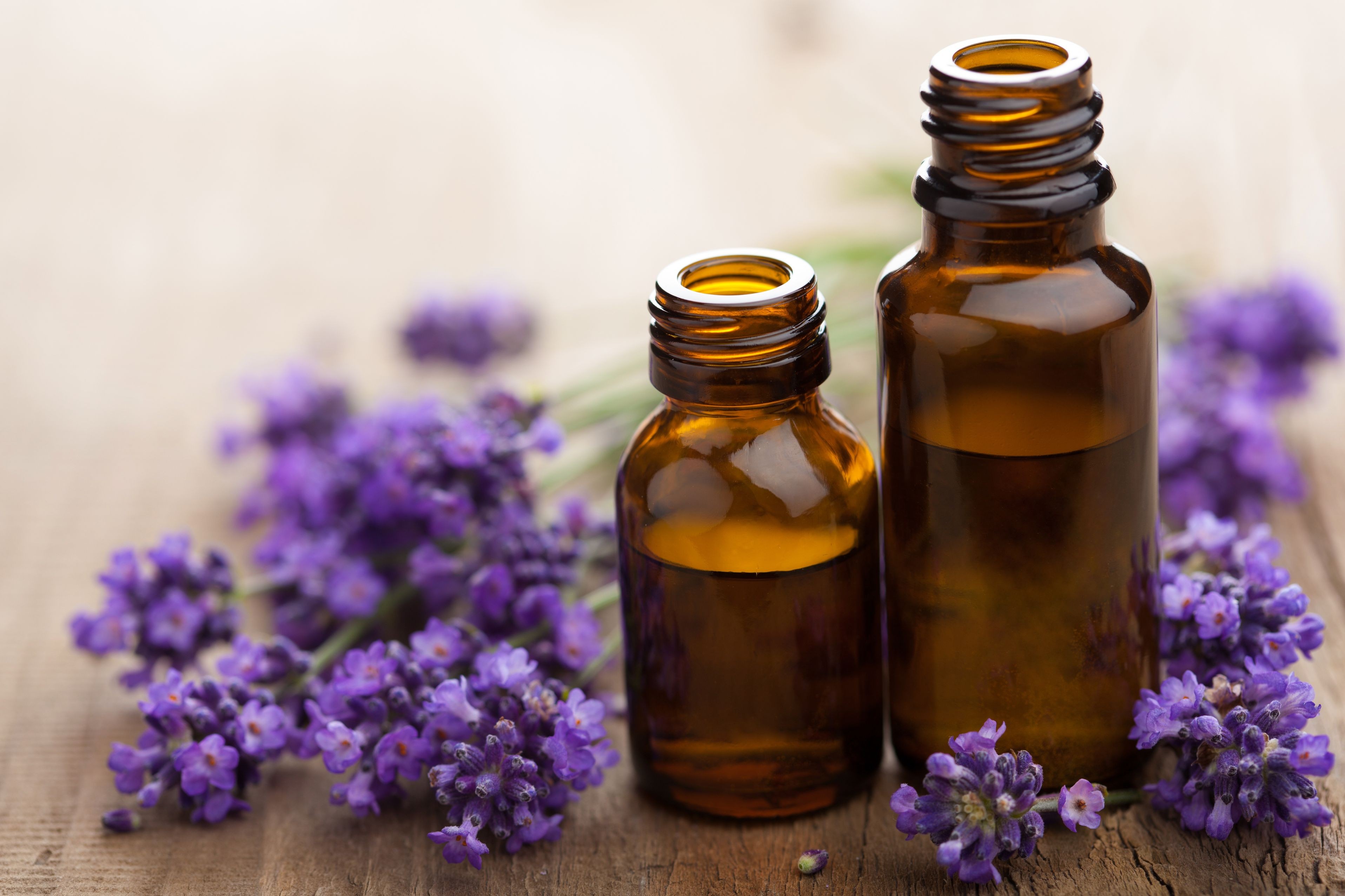 Benefit-of-Lavender-essential-oil-1257633512