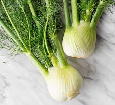 FENNEL1