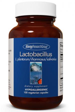 Lactobacillus