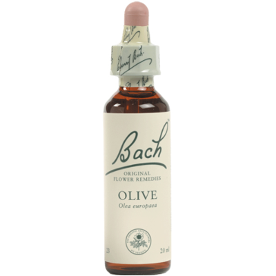 OLIVE20ml