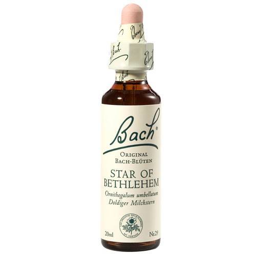 StarofBethlehem20ml