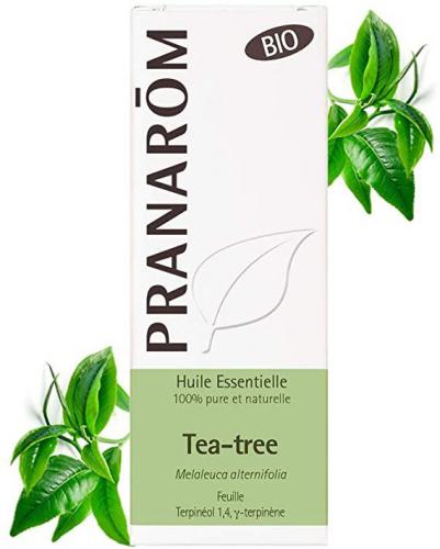 TeaTreeOilMelaleuca