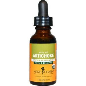 Artichoke1oz