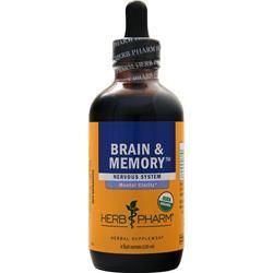 BrainandMemory4o