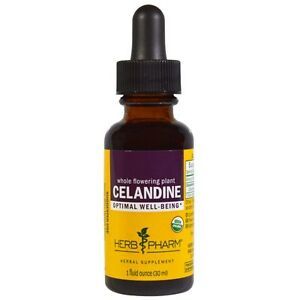 Celandine1oz