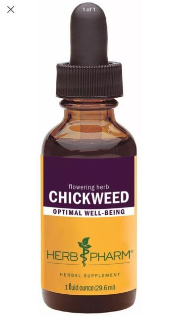 Chickweed1oz