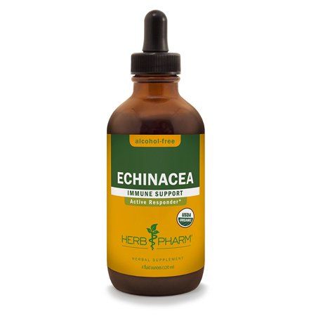 Echinacea4o