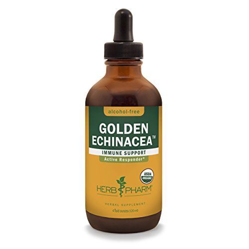 GoldenEchinaceaAlcoholFree4oz