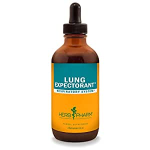 Lungexpectorant4oz