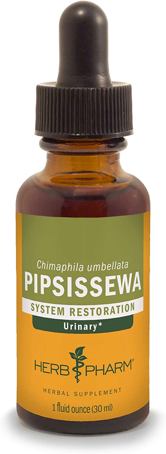 Pipsissewa