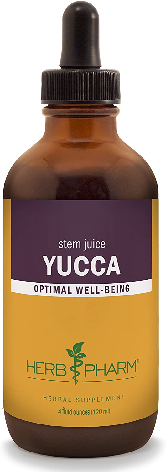 Yucca4oz