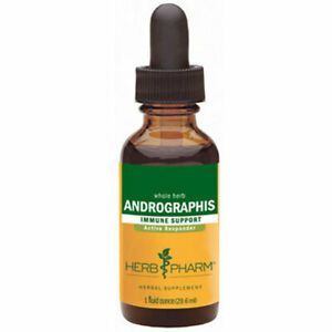 andrographis1oz