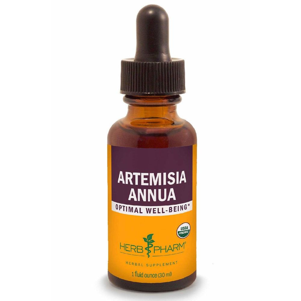 Artemisia Annua Extract Capsules – Potent Immune Support & Intestinal Health