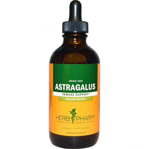 Astragalus4oz