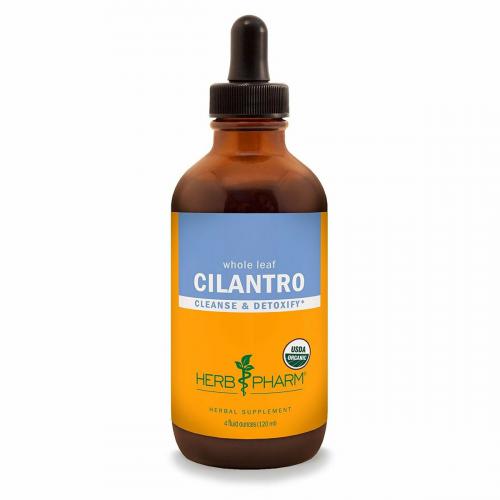 Cilantro4oz