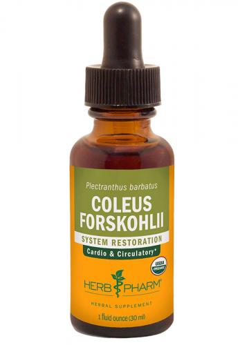 ColeusForskohlii1oz