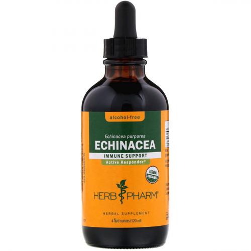 Echinaceaalcoholfree4o