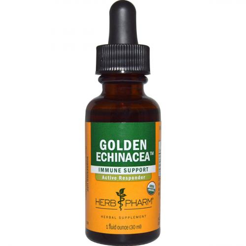 GoldenEchinacea1oz