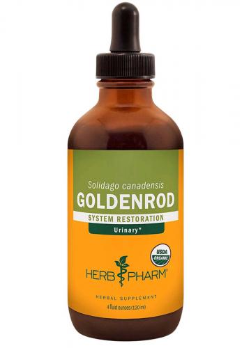 Goldenrod4o