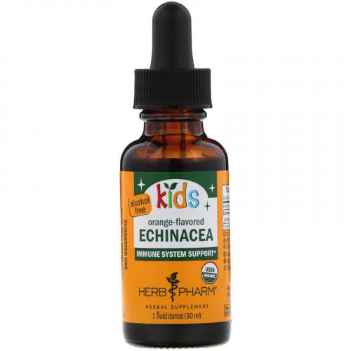 KidsEchinacea1oz