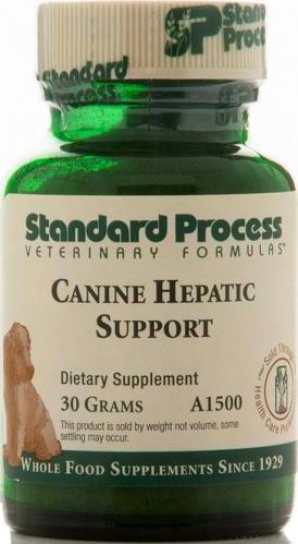 anti nausea medicine for dogs