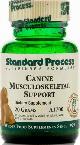 standard process adrenal support for dogs