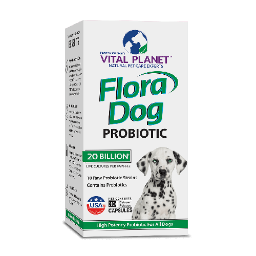 Dog20billionprobiotic