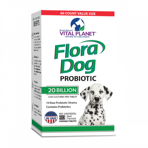 Dog20billionprobioticchewables60ct