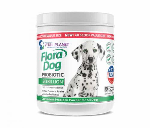 Dog20billionprobioticpowder60scoops