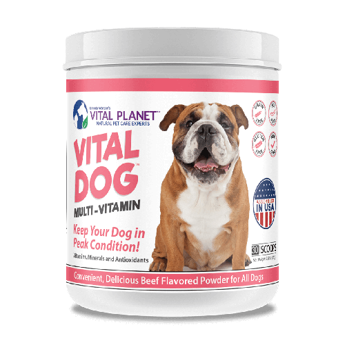 DogDailyMultiVitPowder