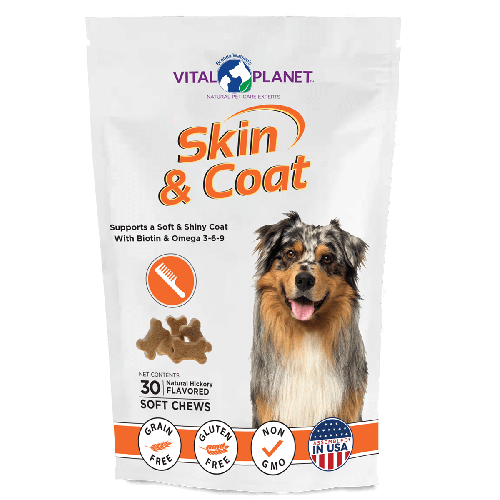 DogSkin_Coat-Dog-Soft-Chews