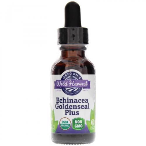 EchinaceaGoldensealPlus1oz