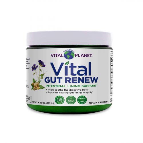 Vital-Gut-Renew_Green-3D